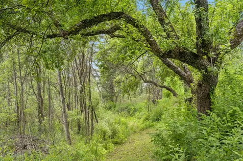 3534 Us Route 2 Marshfield VT 05658