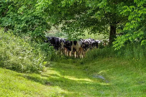 2000 East Warren Road Waitsfield VT 05673