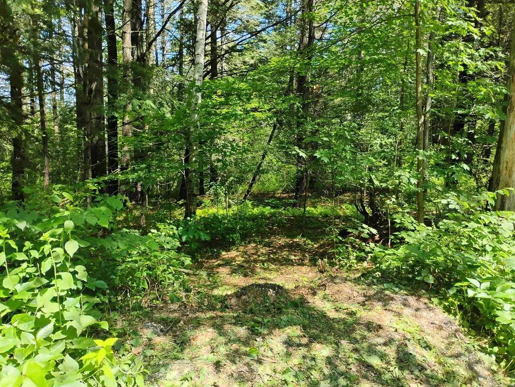 0 Orchard Street Brattleboro VT 05301