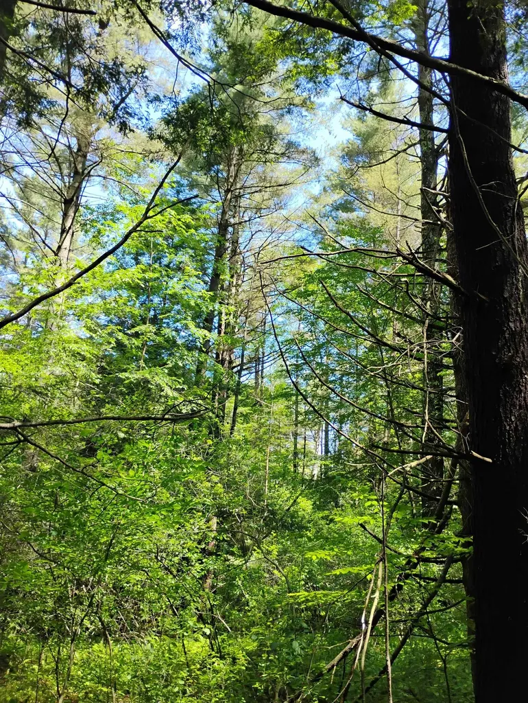 0 Orchard Street Brattleboro VT 05301