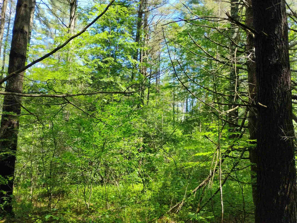 0 Orchard Street Brattleboro VT 05301