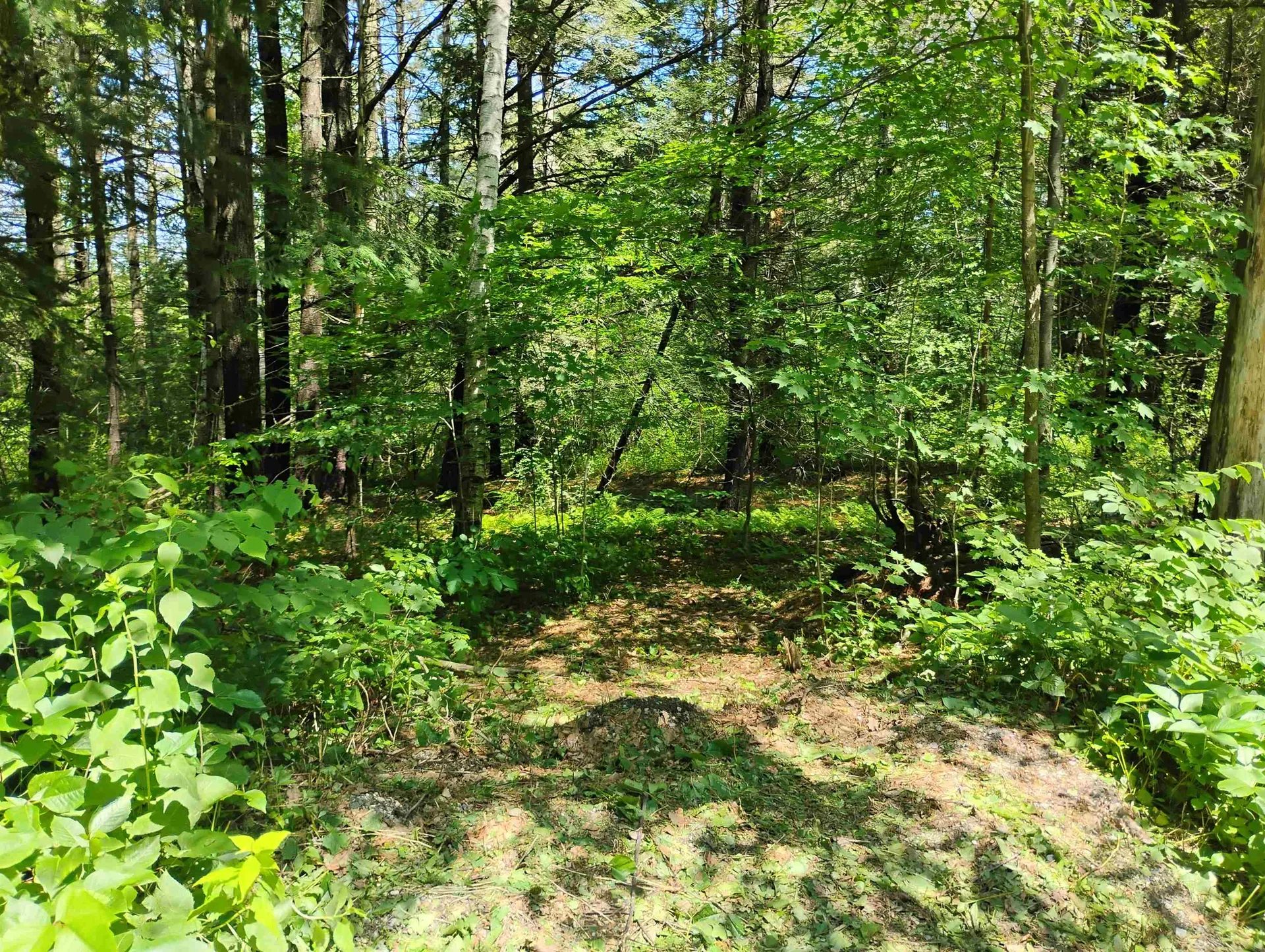 0 Orchard Street Brattleboro VT 05301