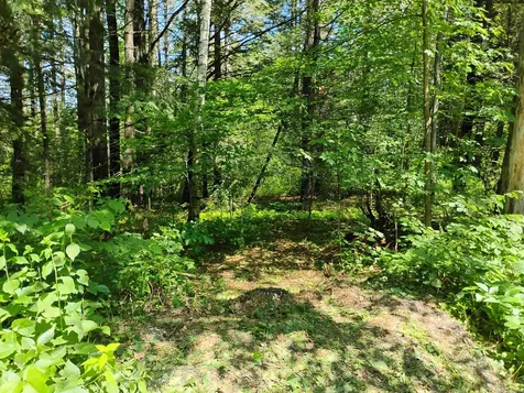 0 Orchard Street Brattleboro VT 05301