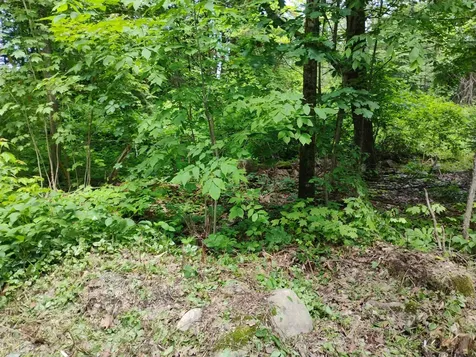 0 Orchard Street Brattleboro VT 05301