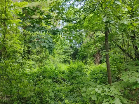 0 Orchard Street Brattleboro VT 05301