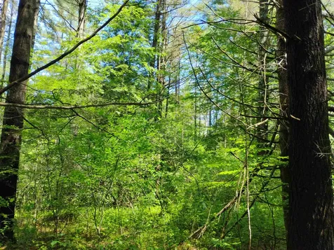 0 Orchard Street Brattleboro VT 05301