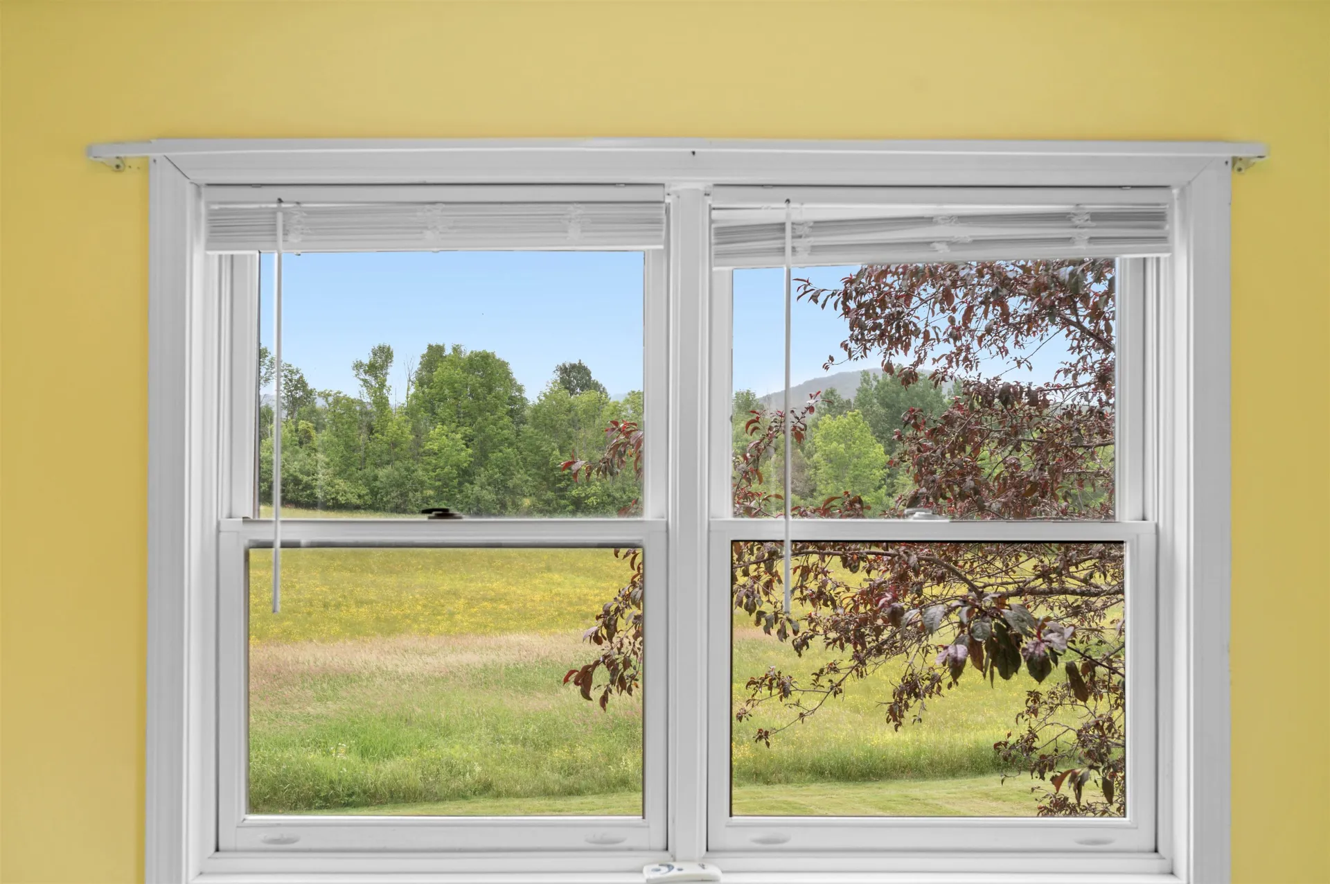 73 Cobble Hill Meadows Barre Town VT 05641