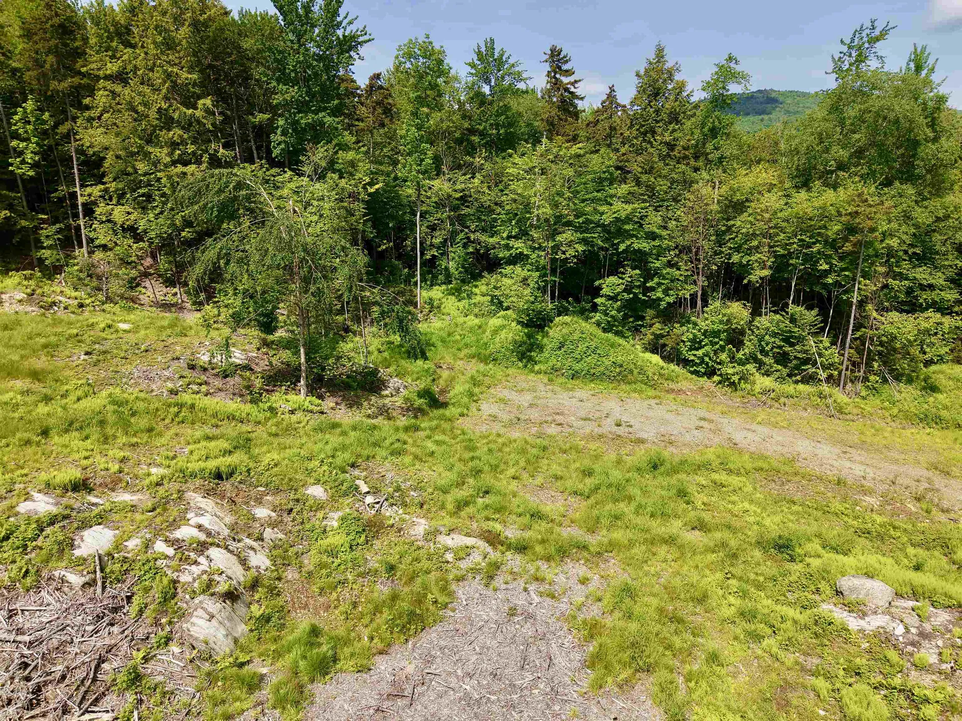 00 Leland Farm Road Middlesex VT 05602