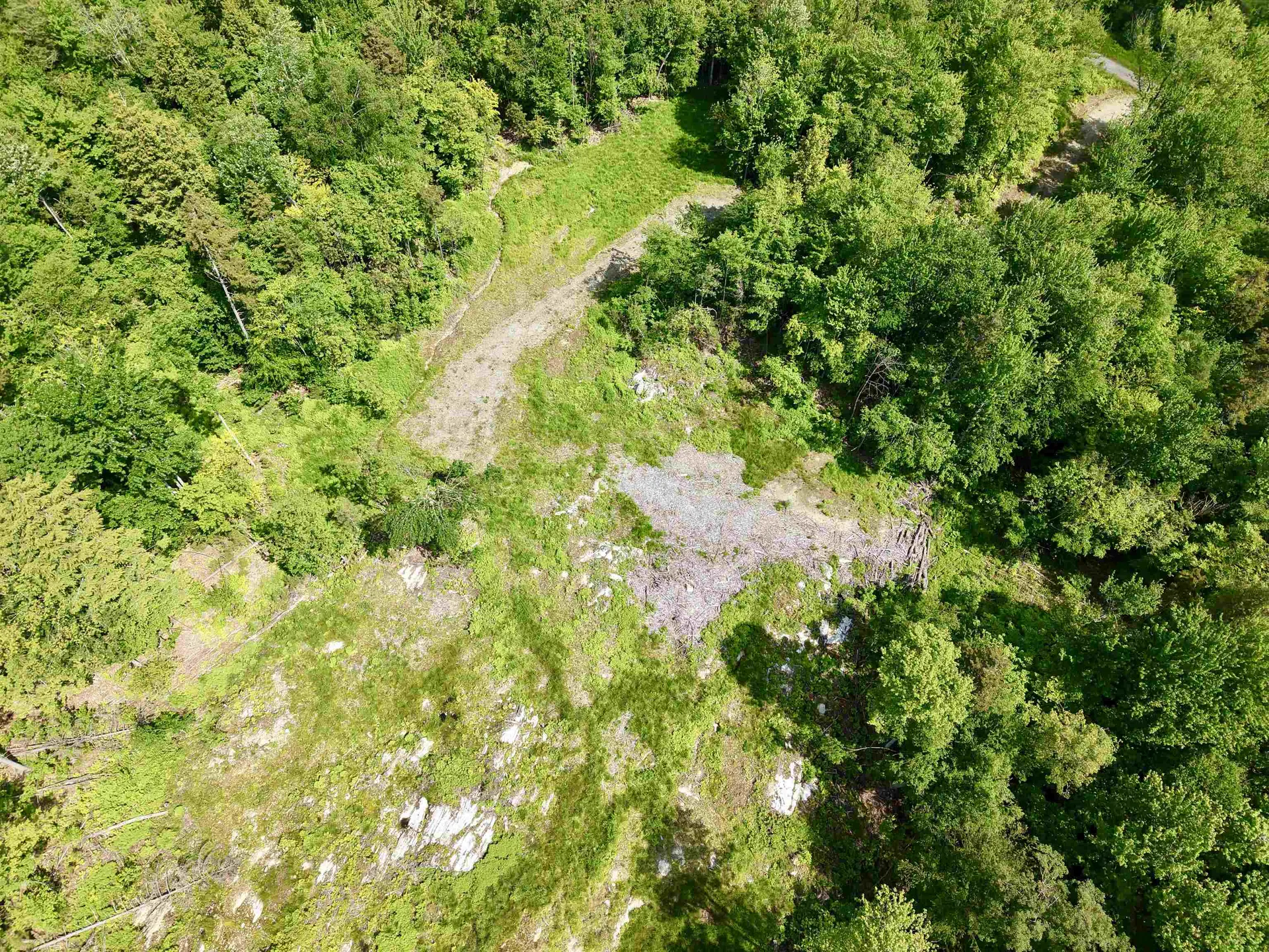 00 Leland Farm Road Middlesex VT 05602