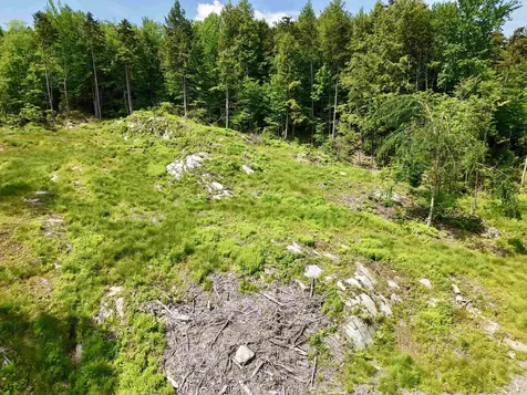 00 Leland Farm Road Middlesex VT 05602