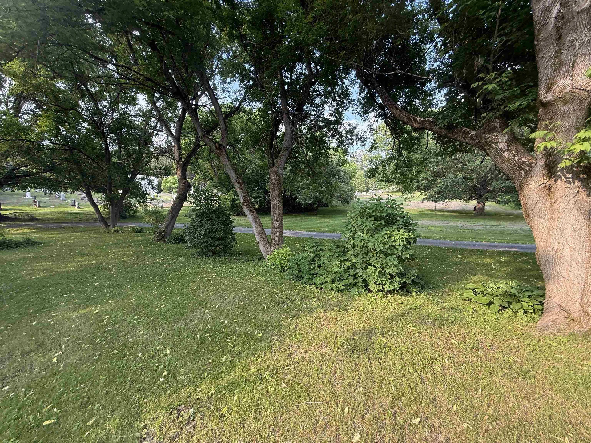 60 South Street Proctor VT 05763