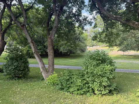 60 South Street Proctor VT 05763