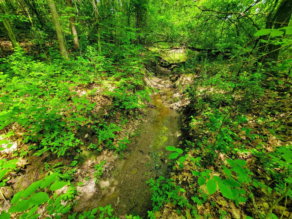 4376 Vt-22a Bridport VT 05734