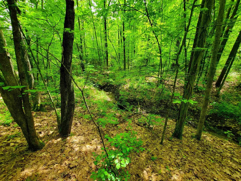 4376 Vt-22a Bridport VT 05734