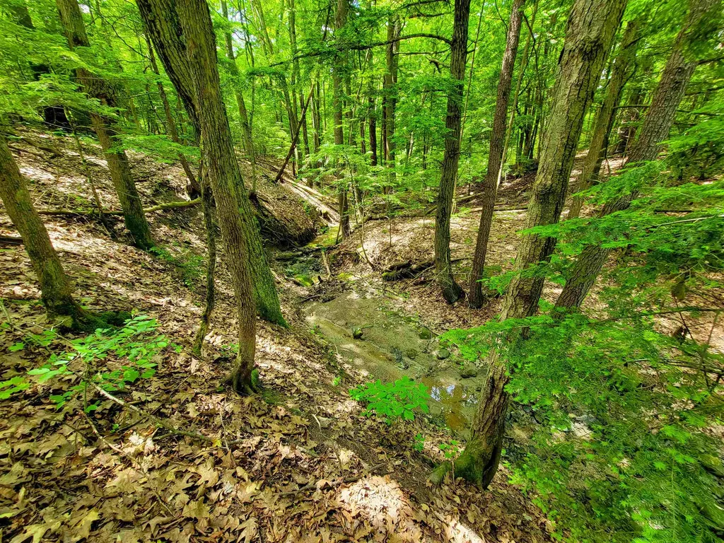 4376 Vt-22a Bridport VT 05734