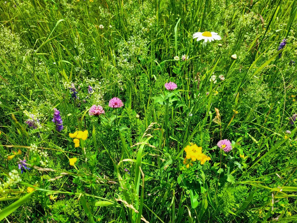 4376 Vt-22a Bridport VT 05734