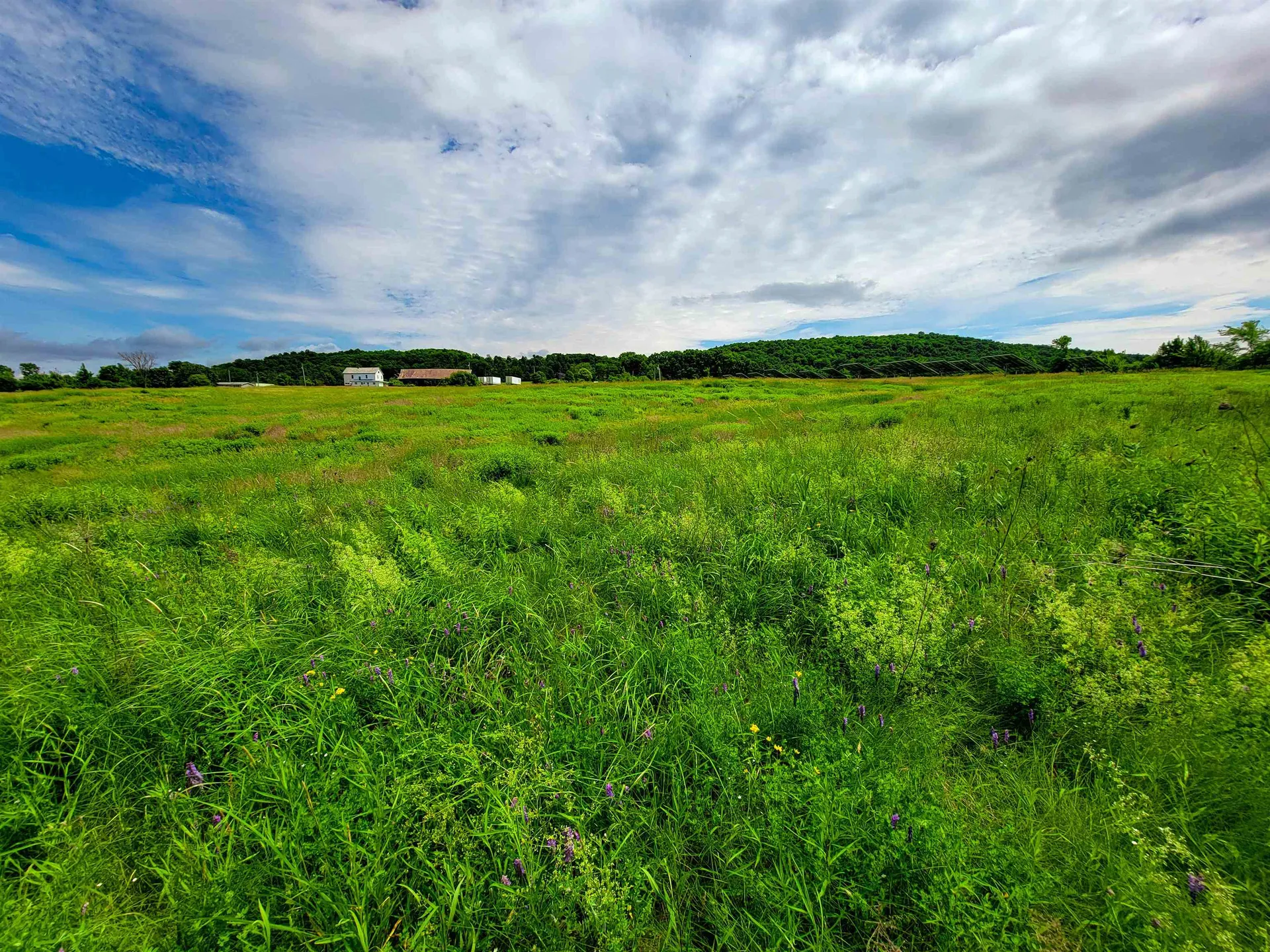 4376 Vt-22a Bridport VT 05734