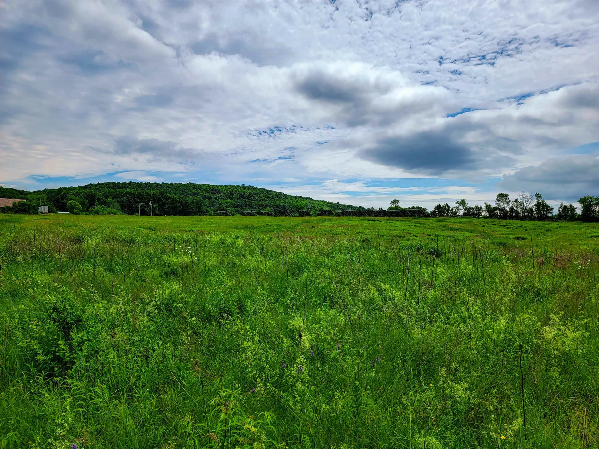 4376 Vt-22a Bridport VT 05734