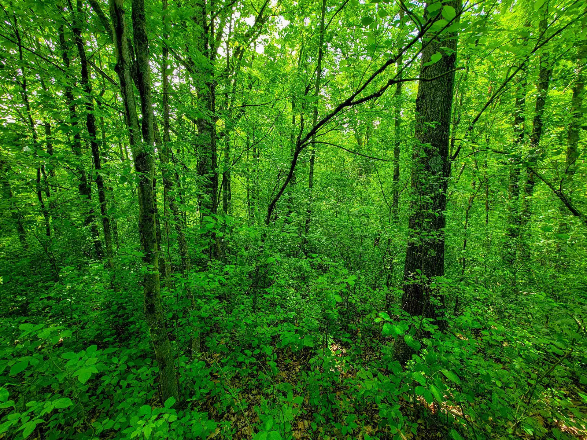 4376 Vt-22a Bridport VT 05734