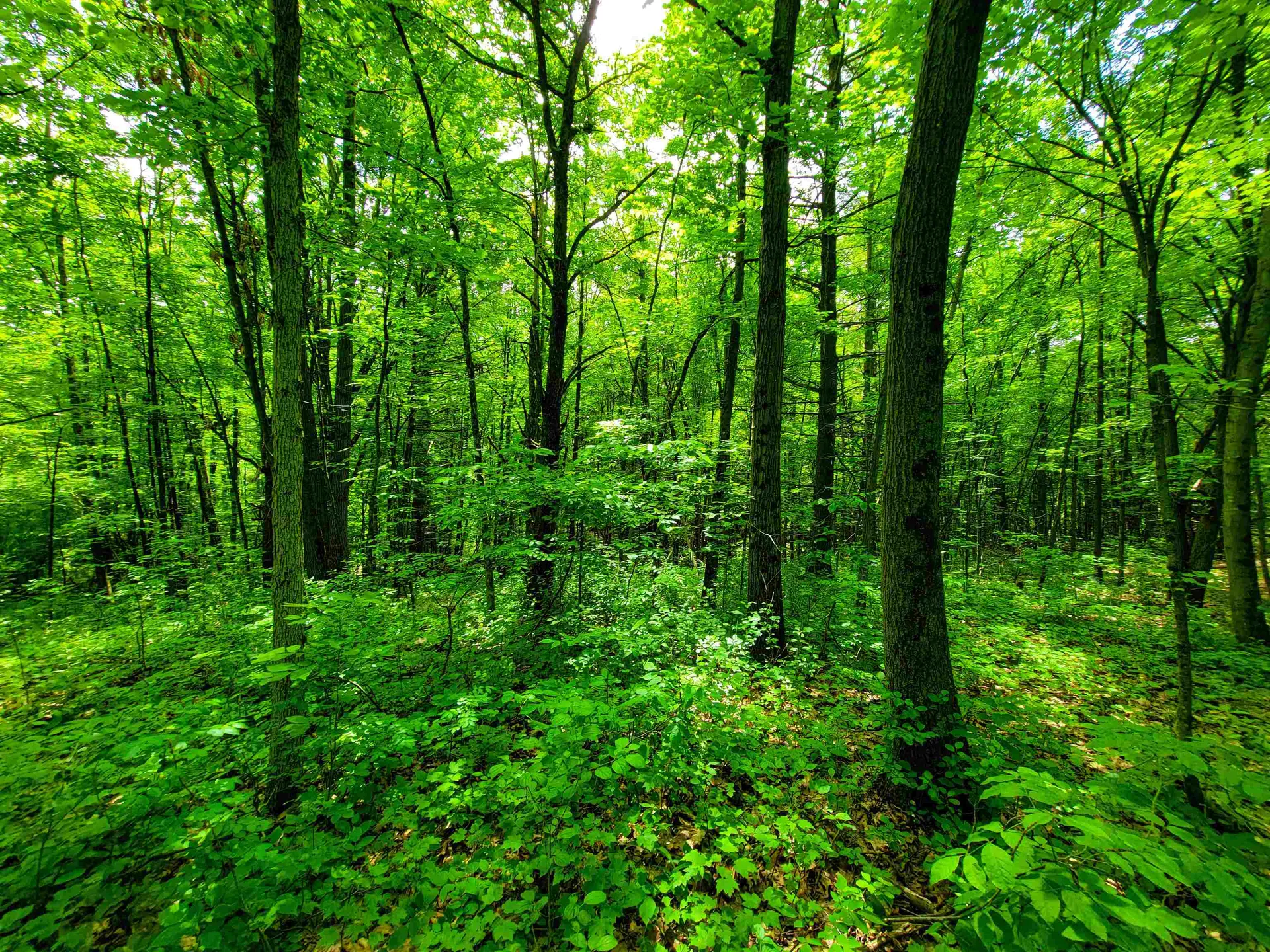 4376 Vt-22a Bridport VT 05734