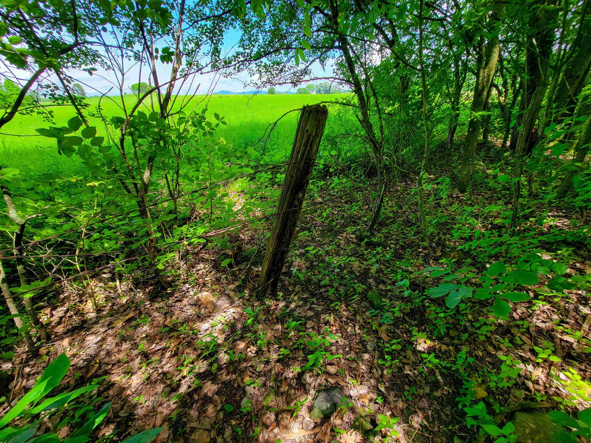 4376 Vt-22a Bridport VT 05734