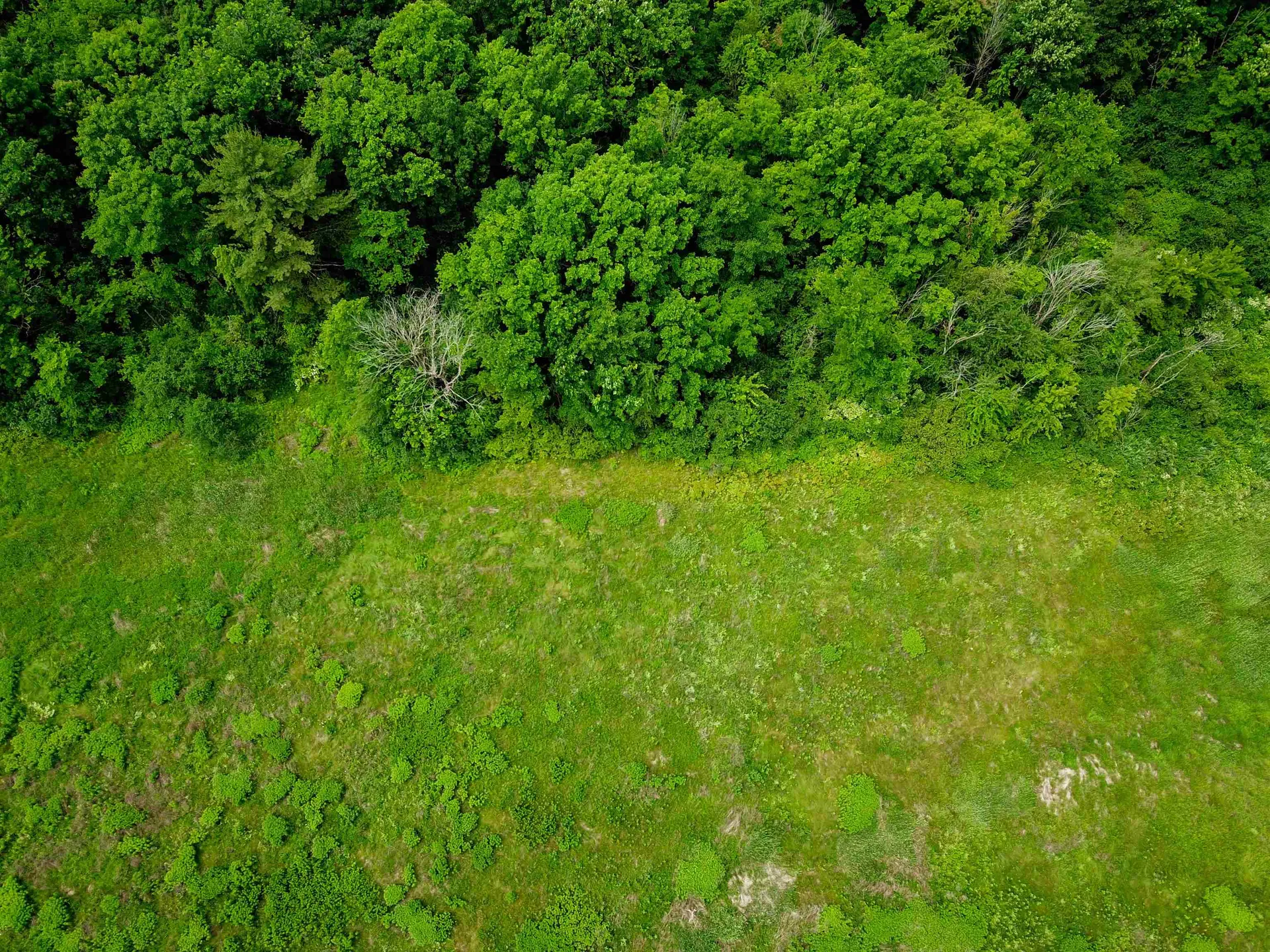 4376 Vt-22a Bridport VT 05734