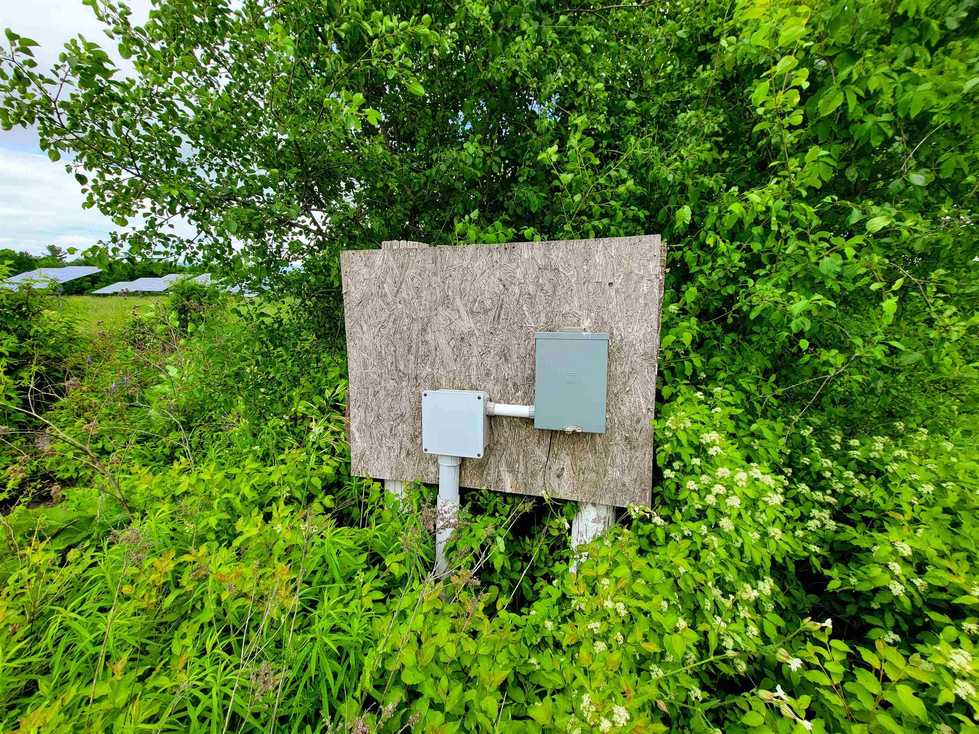 4376 Vt-22a Bridport VT 05734