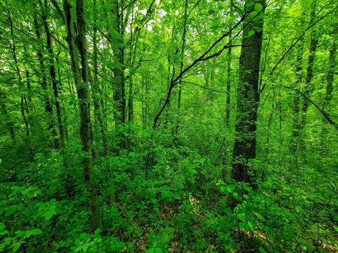 4376 Vt-22a Bridport VT 05734