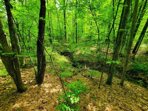 4376 Vt-22a Bridport VT 05734