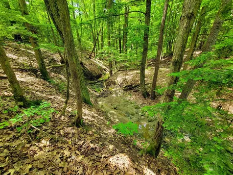 4376 Vt-22a Bridport VT 05734