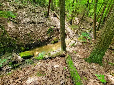 4376 Vt-22a Bridport VT 05734