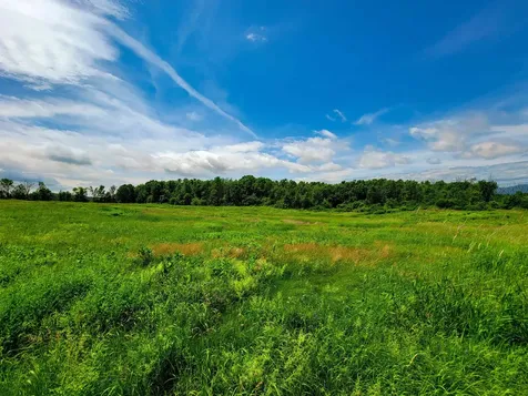 4376 Vt-22a Bridport VT 05734