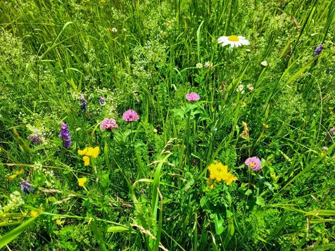 4376 Vt-22a Bridport VT 05734