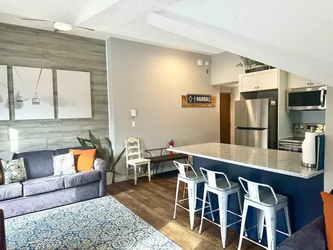 9B Snow Mountain Village Dover VT 05356