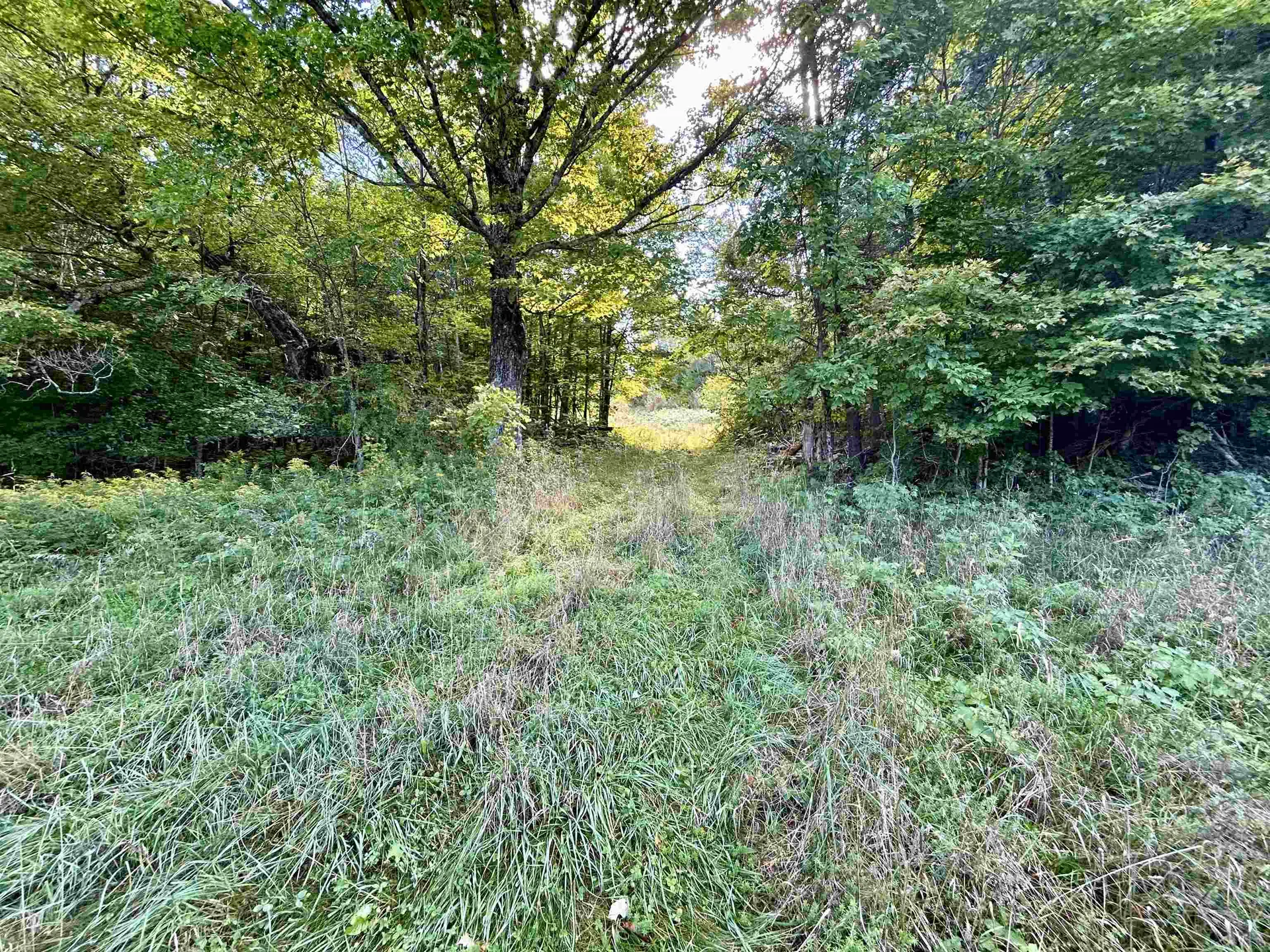 00 Corinth Road Chelsea VT 05038