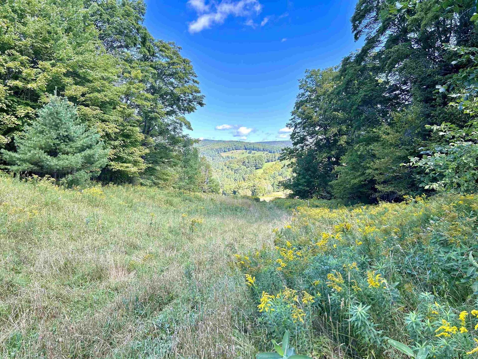 00 Corinth Road Chelsea VT 05038