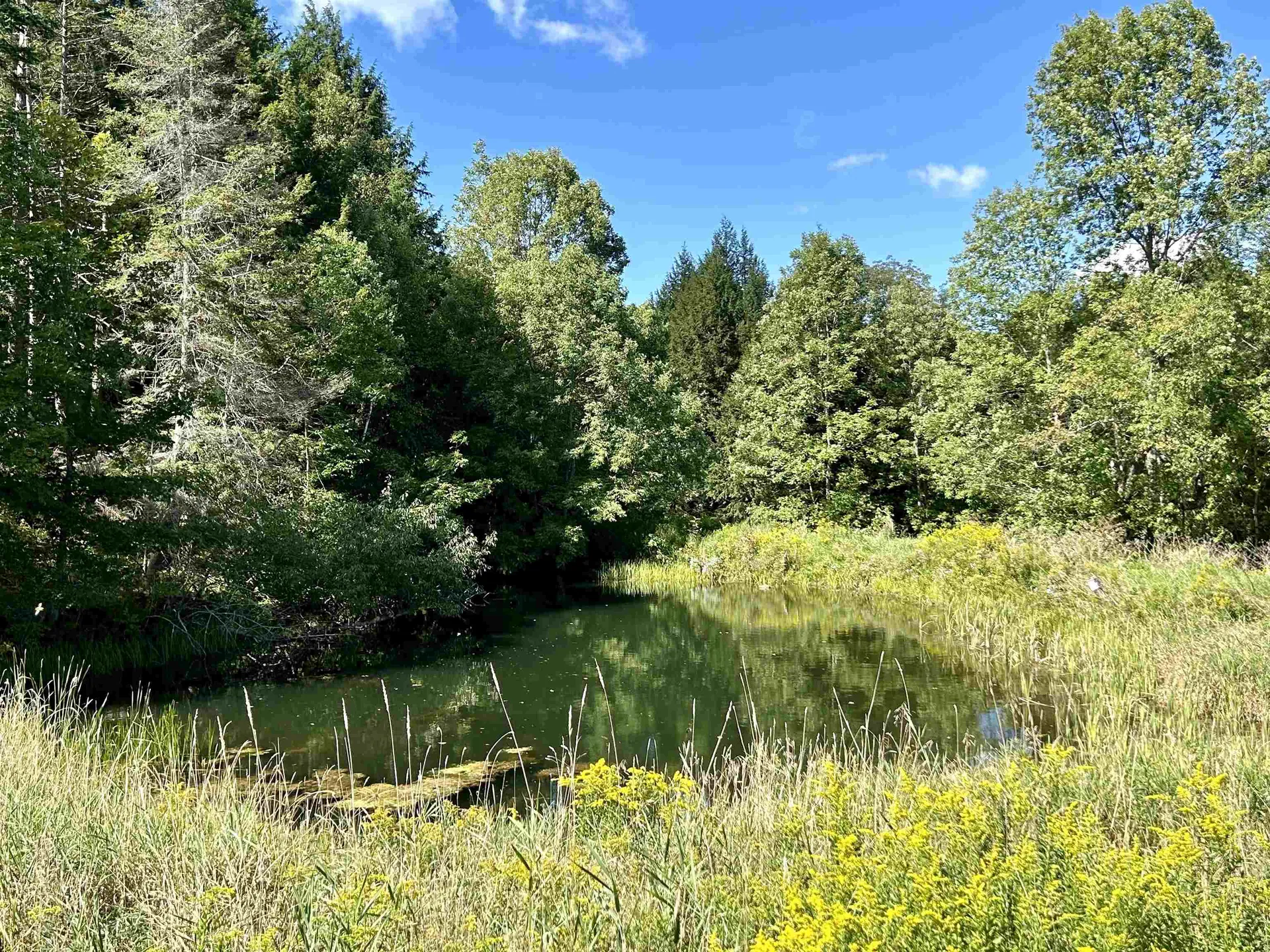 00 Corinth Road Chelsea VT 05038