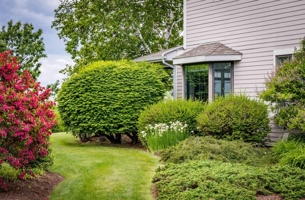 308 Park Road South Burlington VT 05403