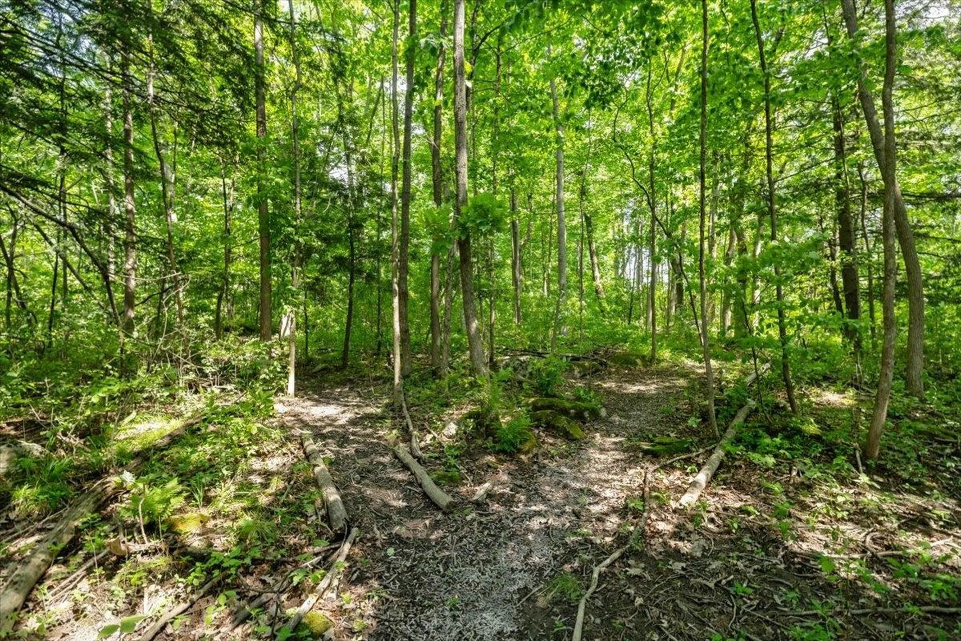 473 Brennan Woods Drive Williston VT 05495