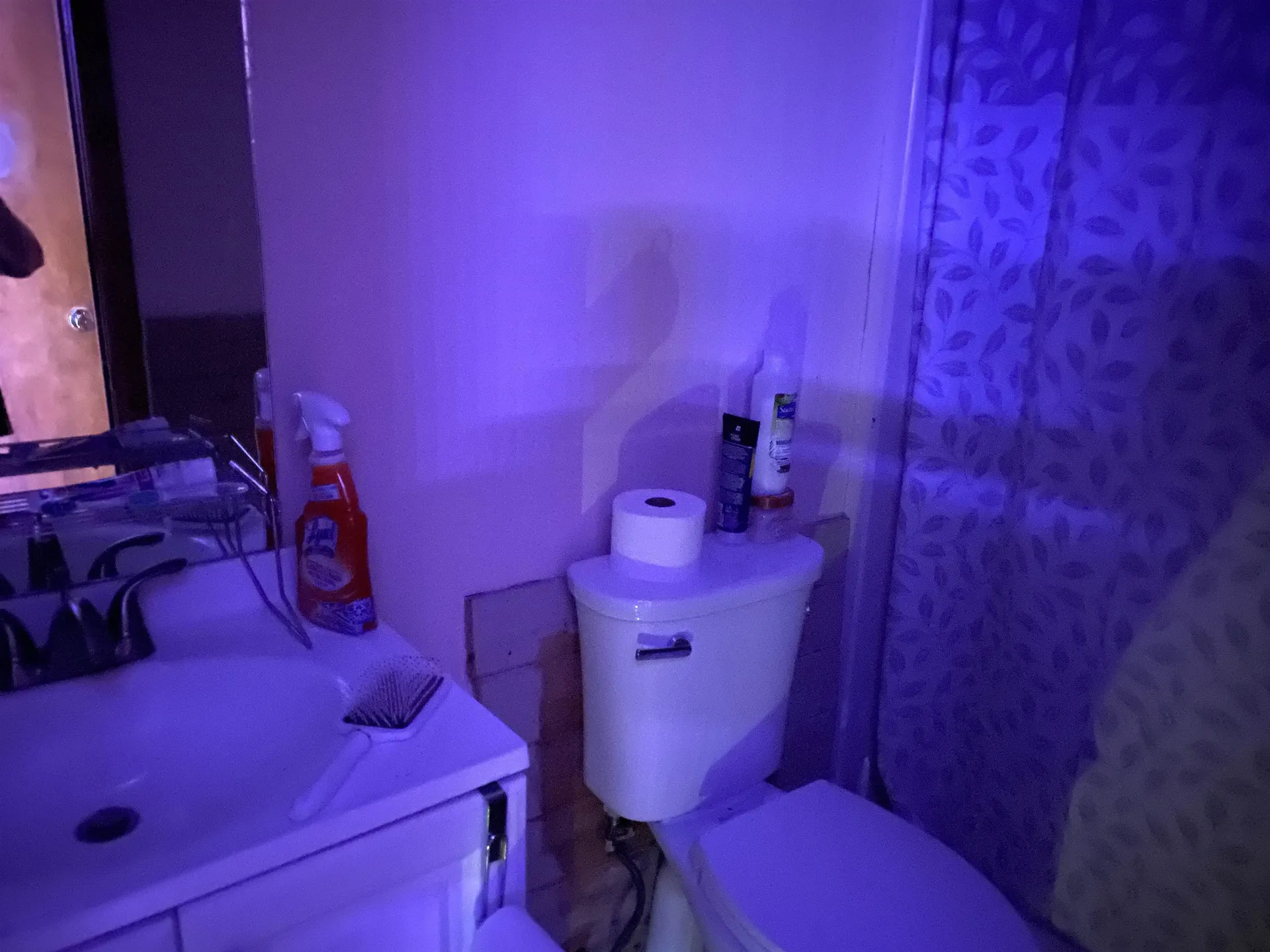 3261 Route 30 North Castleton VT 05735