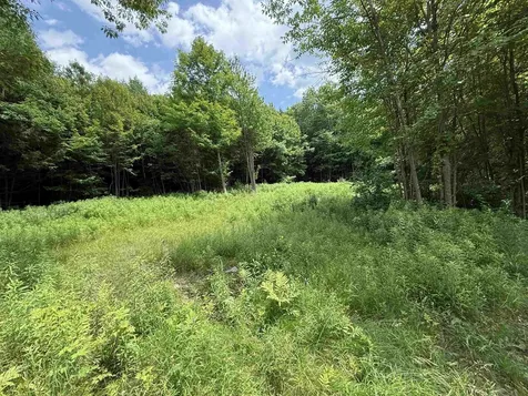 127 Hidden Acres Drive Monkton VT 05469