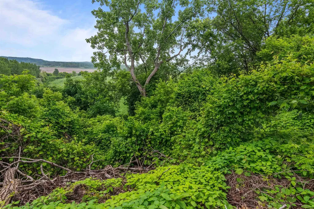 226 Manhattan Drive Burlington VT 05401