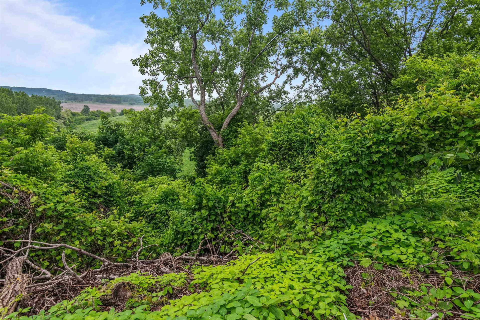 226 Manhattan Drive Burlington VT 05401