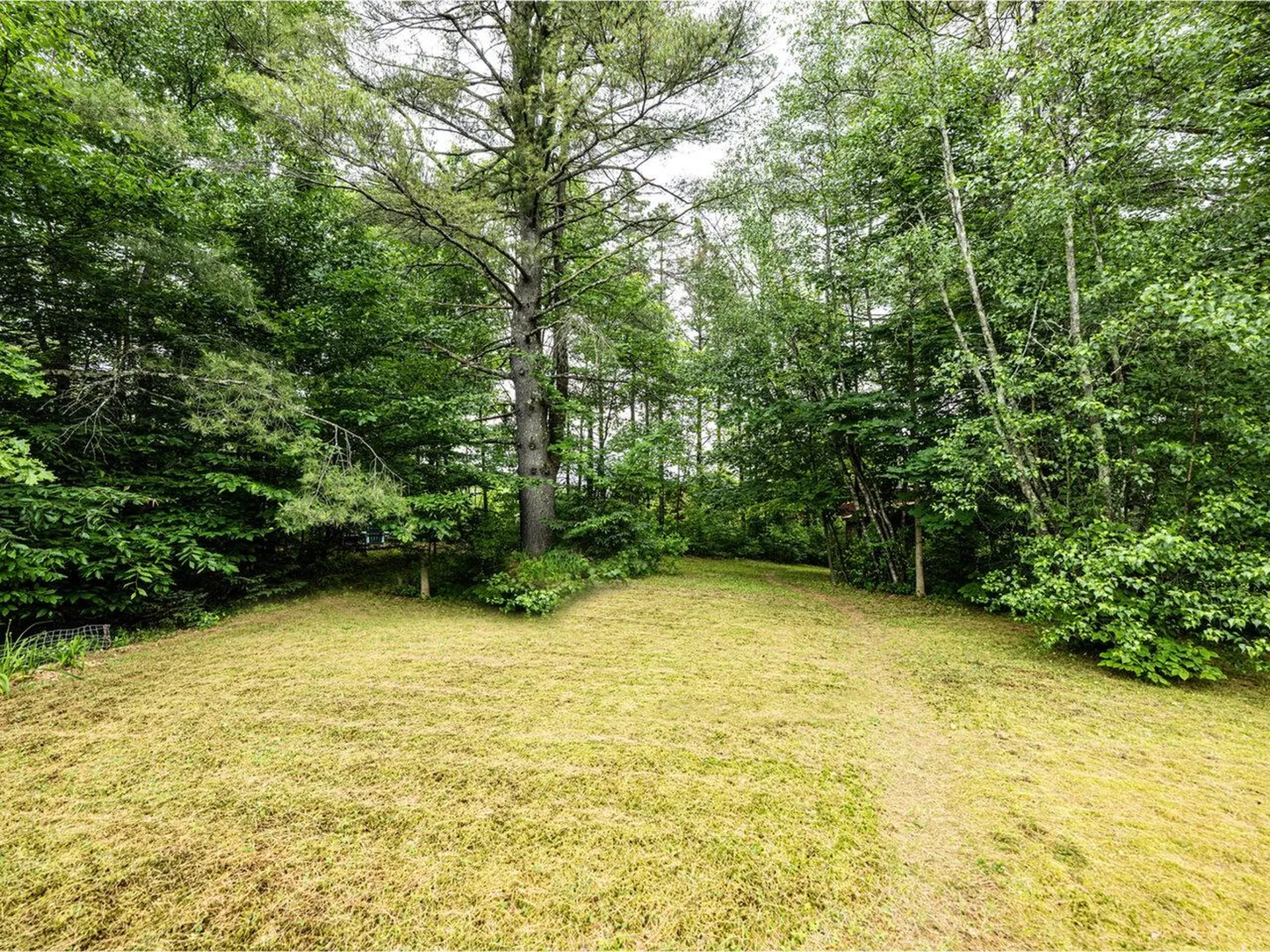 3 Tanglewood Drive Essex VT 05452