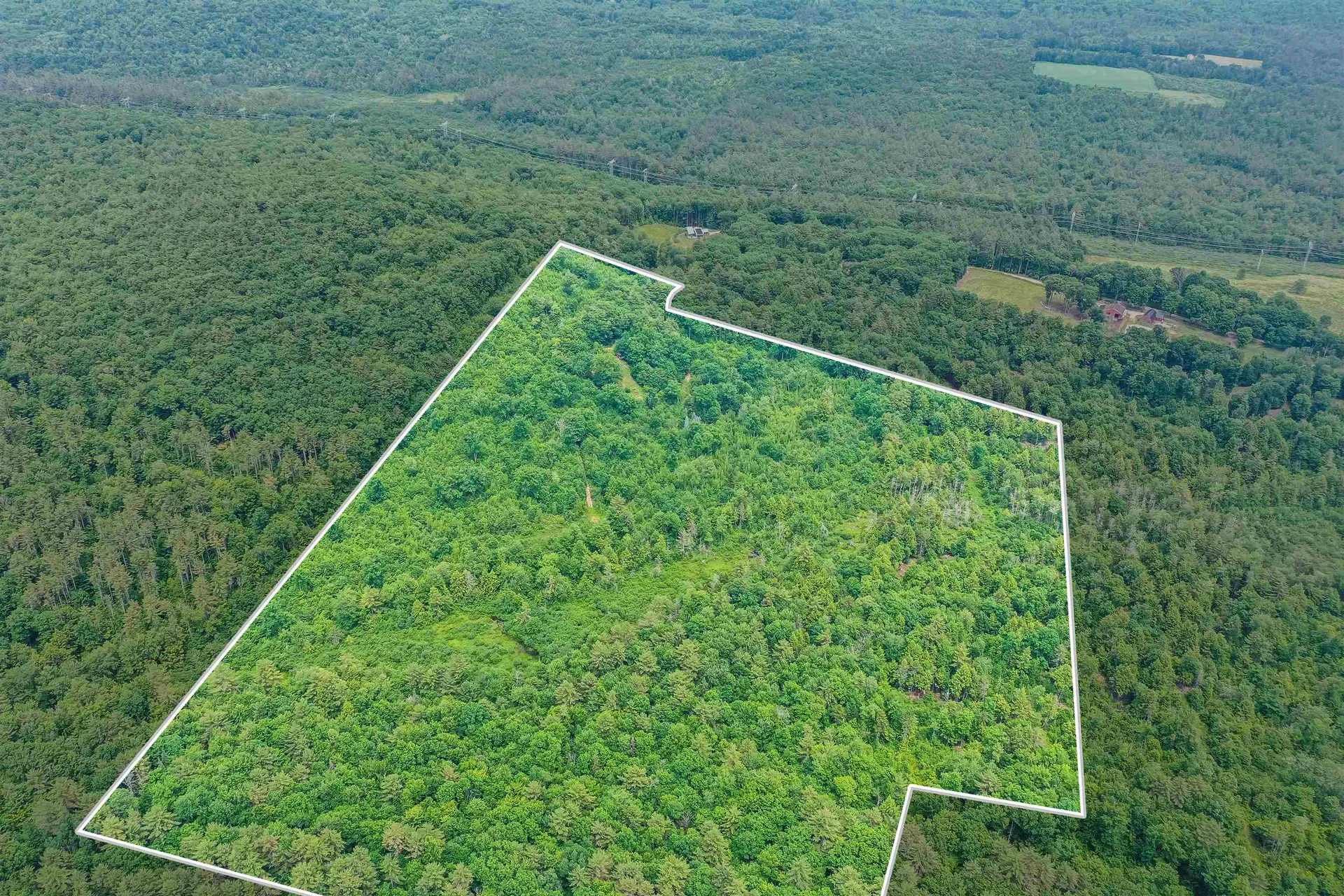 231 Mutton Road Webster NH 03303