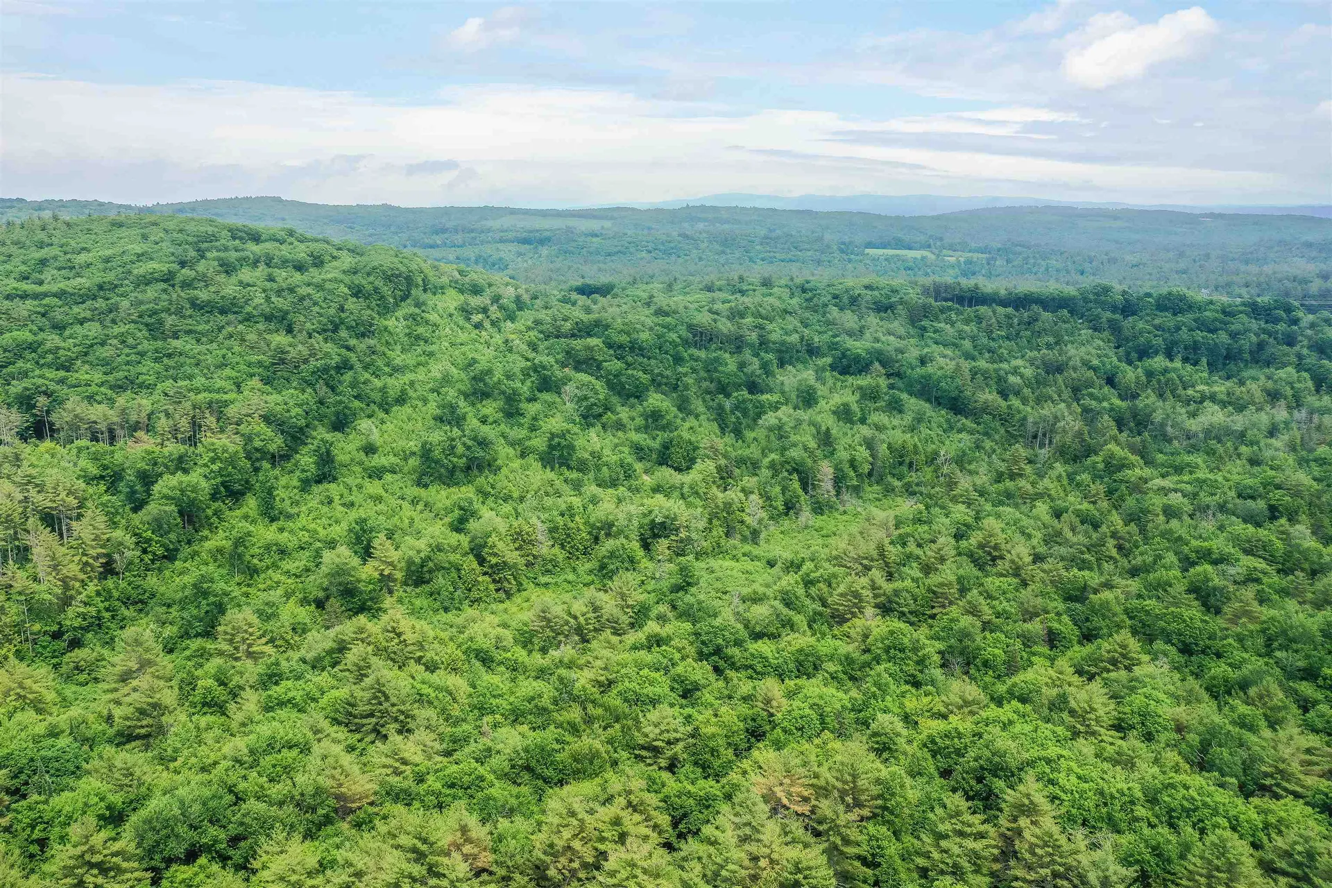 231 Mutton Road Webster NH 03303