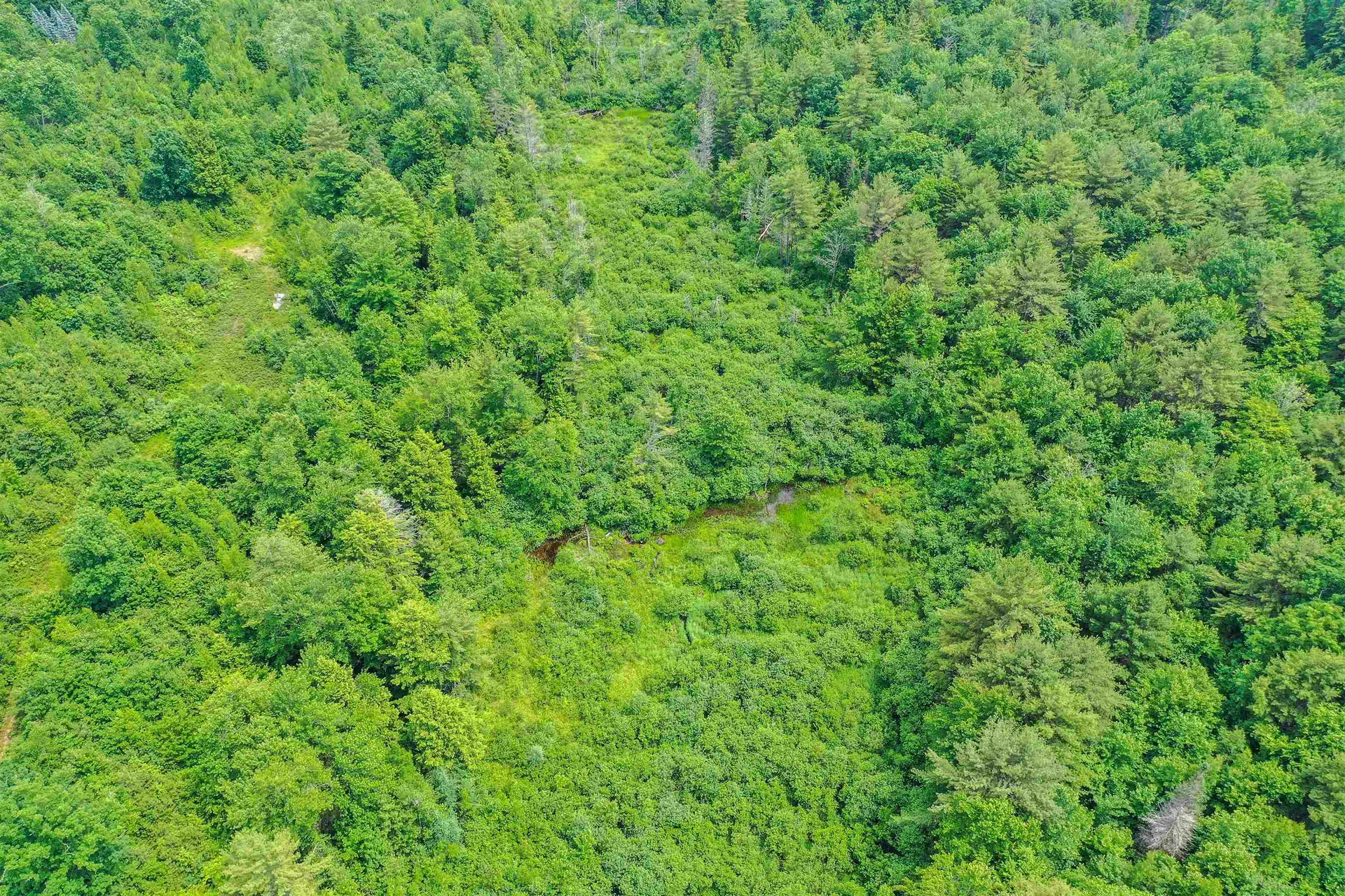 231 Mutton Road Webster NH 03303