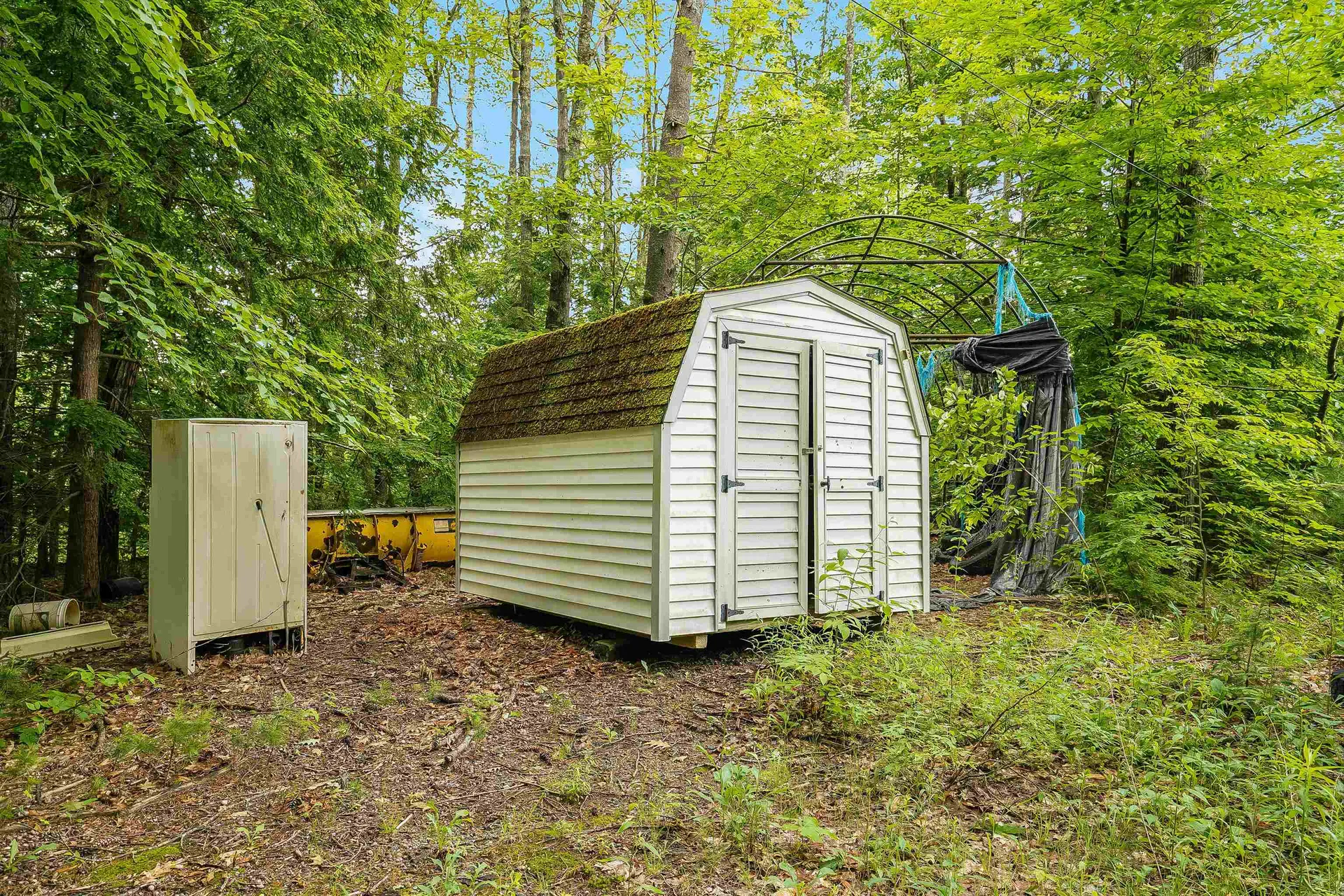 231 Mutton Road Webster NH 03303