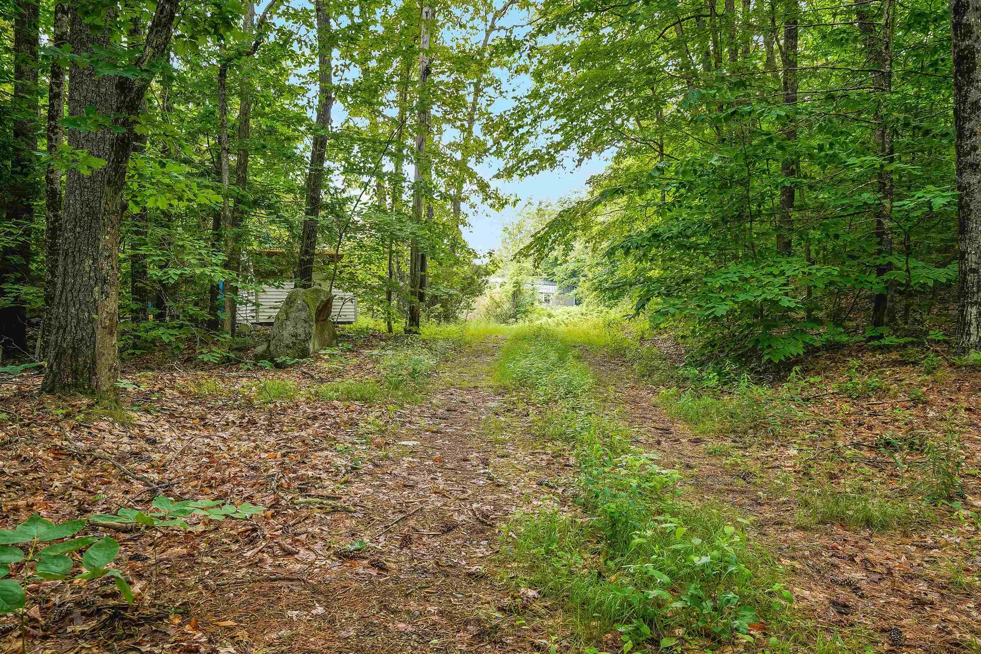 231 Mutton Road Webster NH 03303