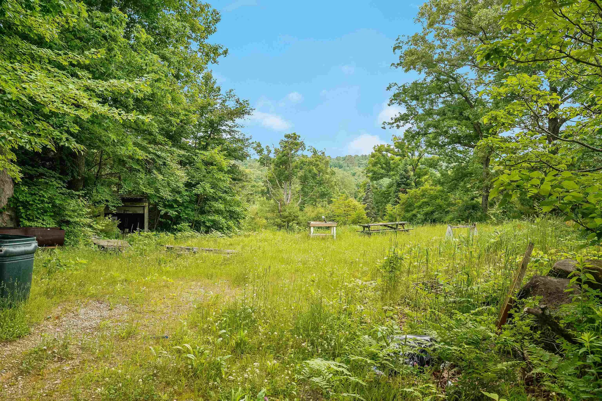 231 Mutton Road Webster NH 03303